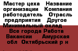 Мастер цеха › Название организации ­ Компания-работодатель › Отрасль предприятия ­ Другое › Минимальный оклад ­ 1 - Все города Работа » Вакансии   . Амурская обл.,Октябрьский р-н